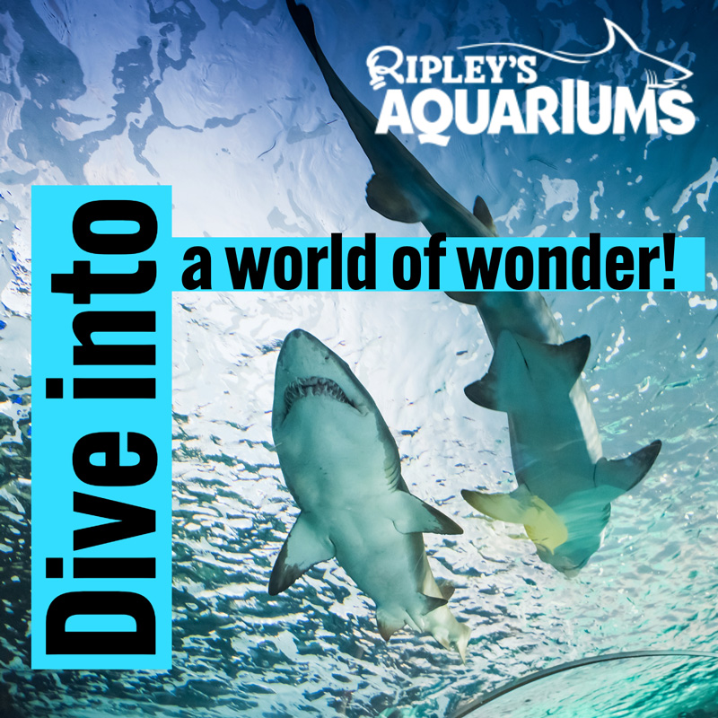 Ripley's Aquarium Discounts and Coupons