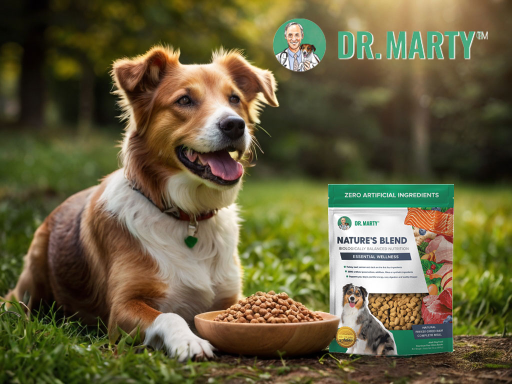 Pros & Cons of Dr. Marty Nature’s Blend Dog Food