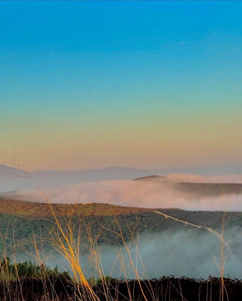 Breath of the Pacific – Serene Ocean Fog