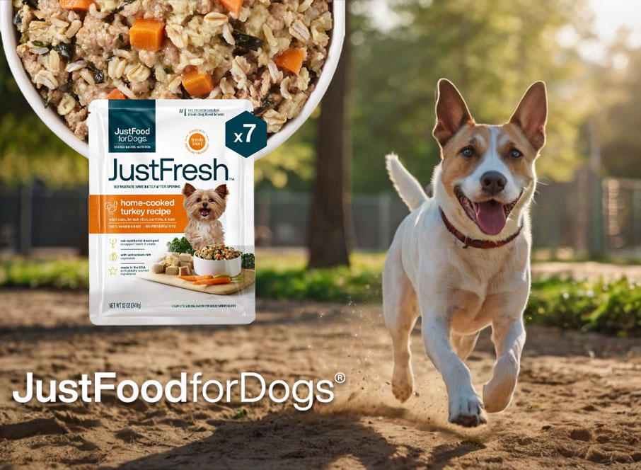 JustFoodForDogs Review 2025