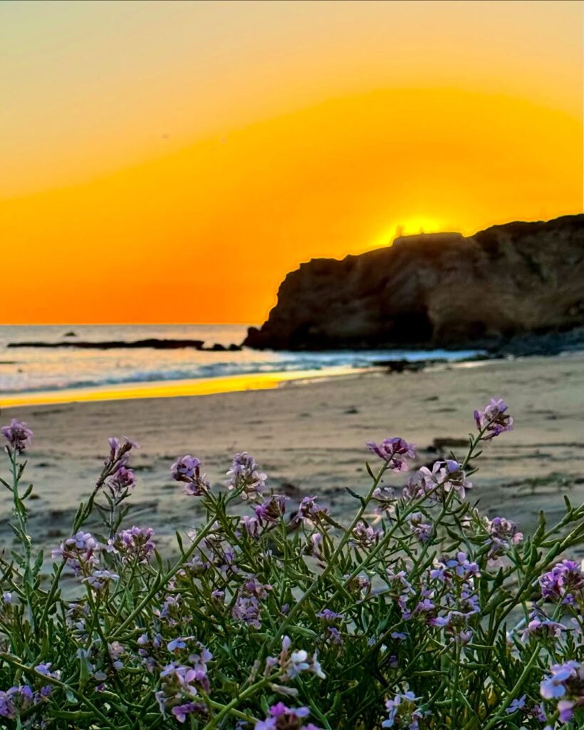 Golden Sunset
