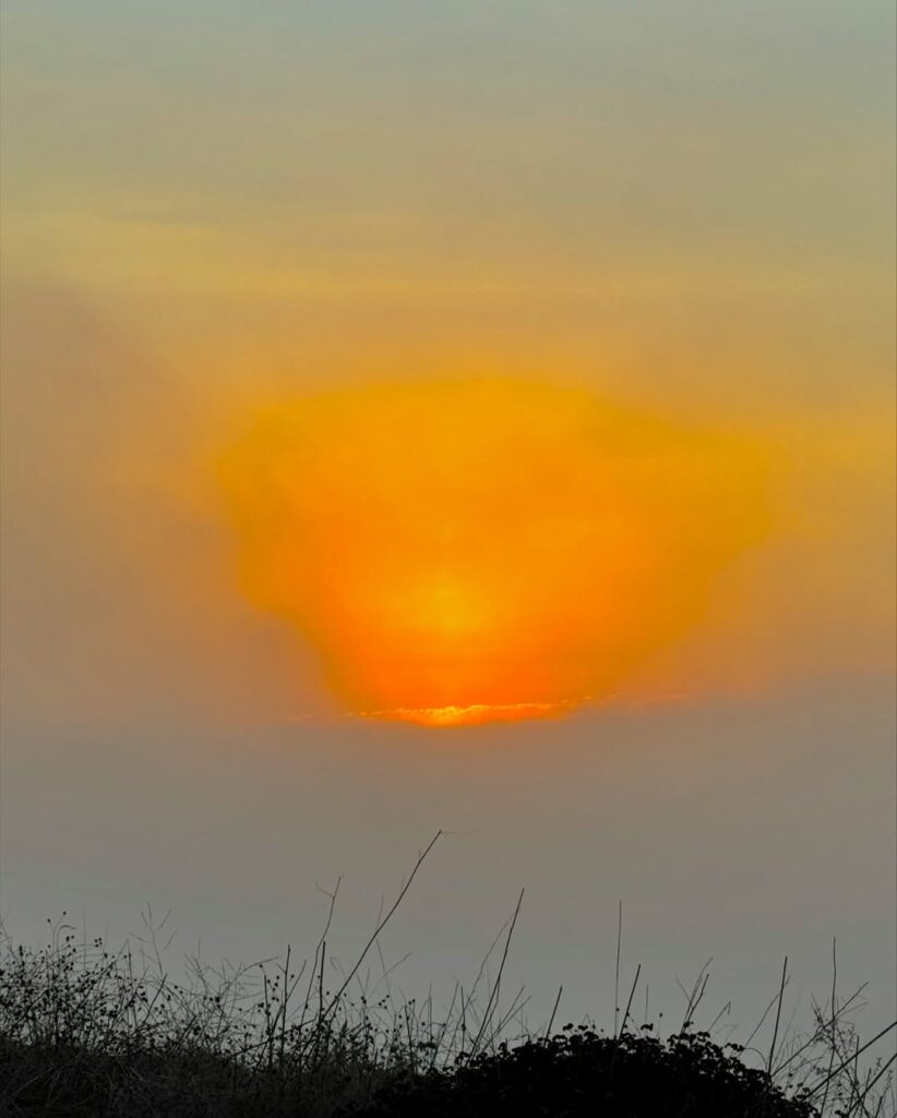 The Last Light of Solitude – Golden Pacific Ocean Sunset with Canyon Fog