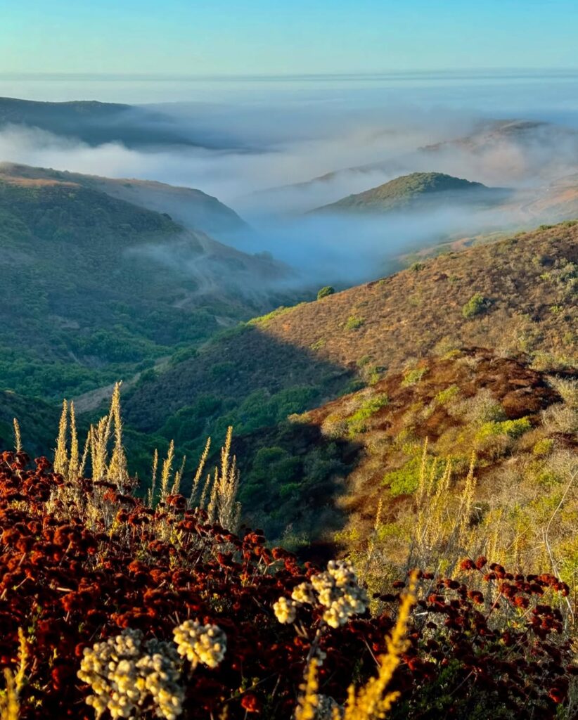 Twilight in the Canyon’s Embrace – Mysterious Pacific Cliffs at Dusk