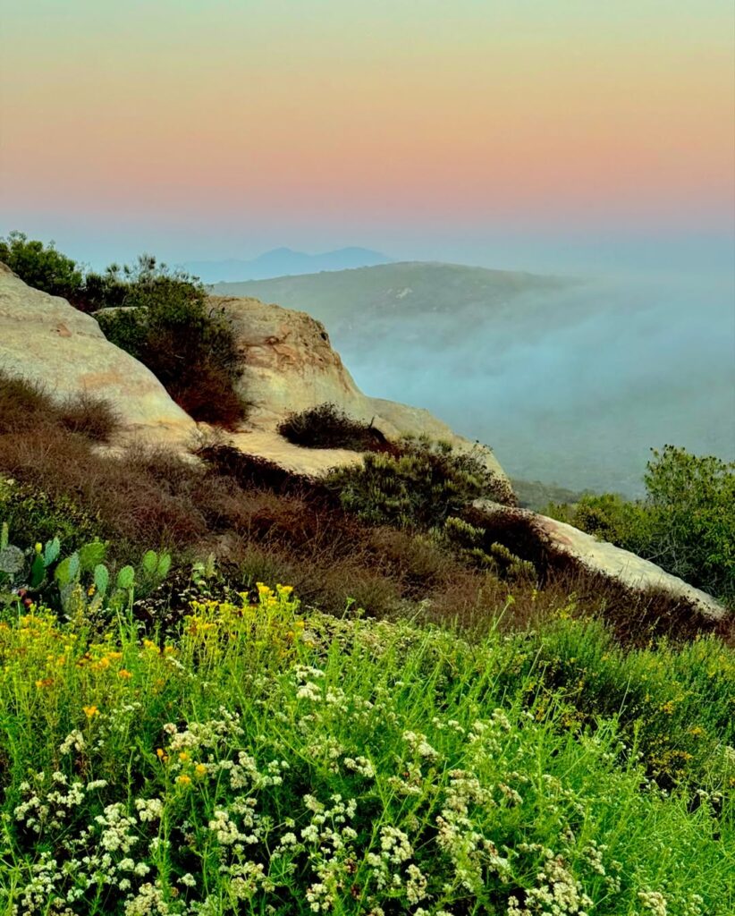 Where the Ocean Holds Its Breath – Sunset and Fog over Pacific Canyons