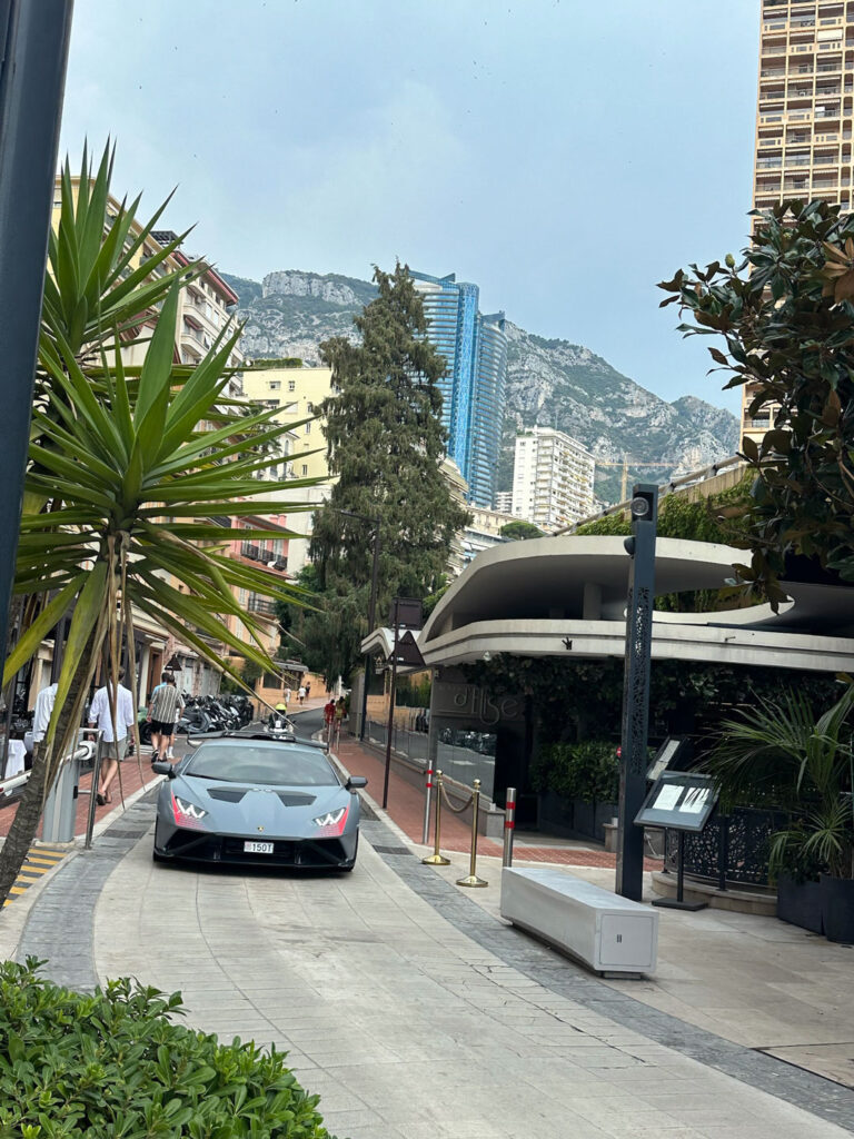 Monaco View