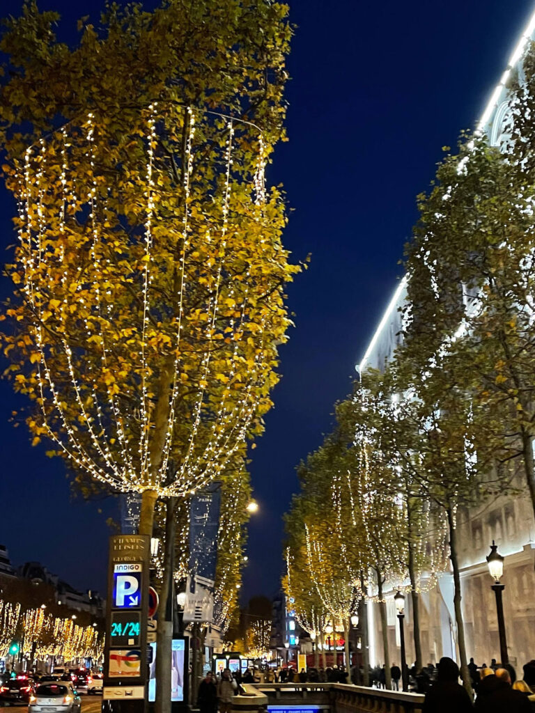 Paris Christmas Street Decoration