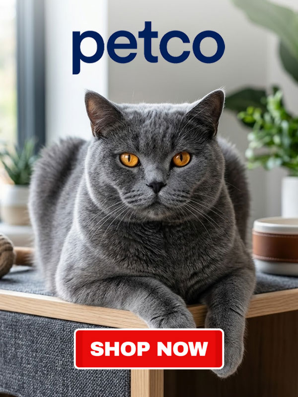 Petco Offer