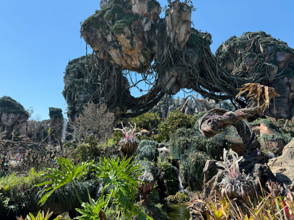 Disney's Animal Kingdom Pandora – The World of Avatar