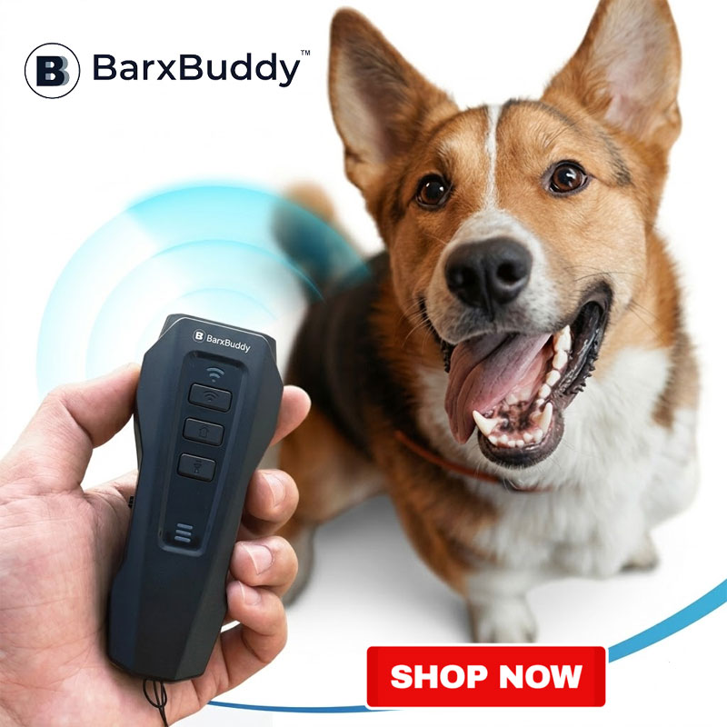 Barxbuddy Trainer Gen Promotion