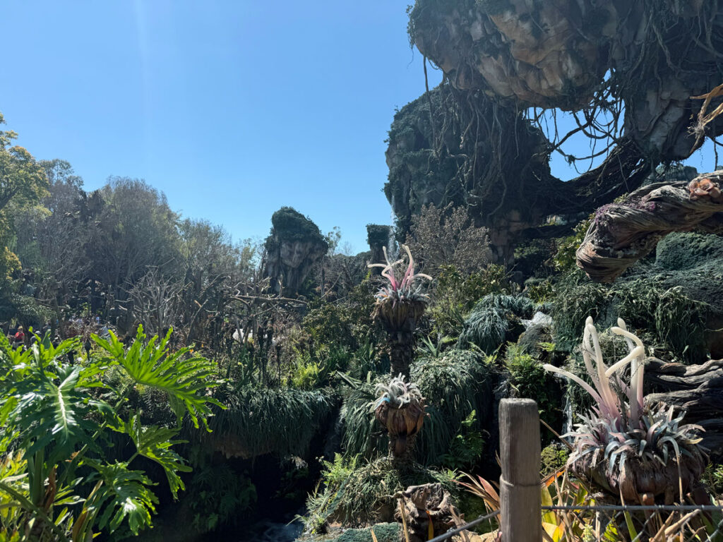 Disney's Animal Kingdom