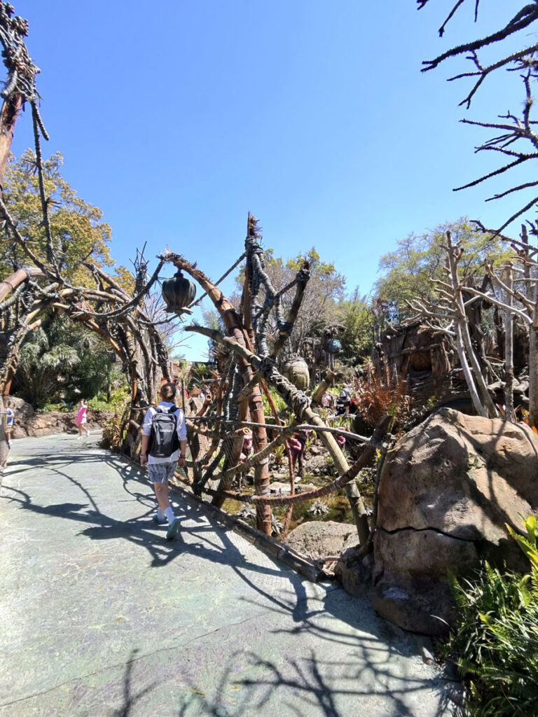 Inside Disney's Animal Kingdom