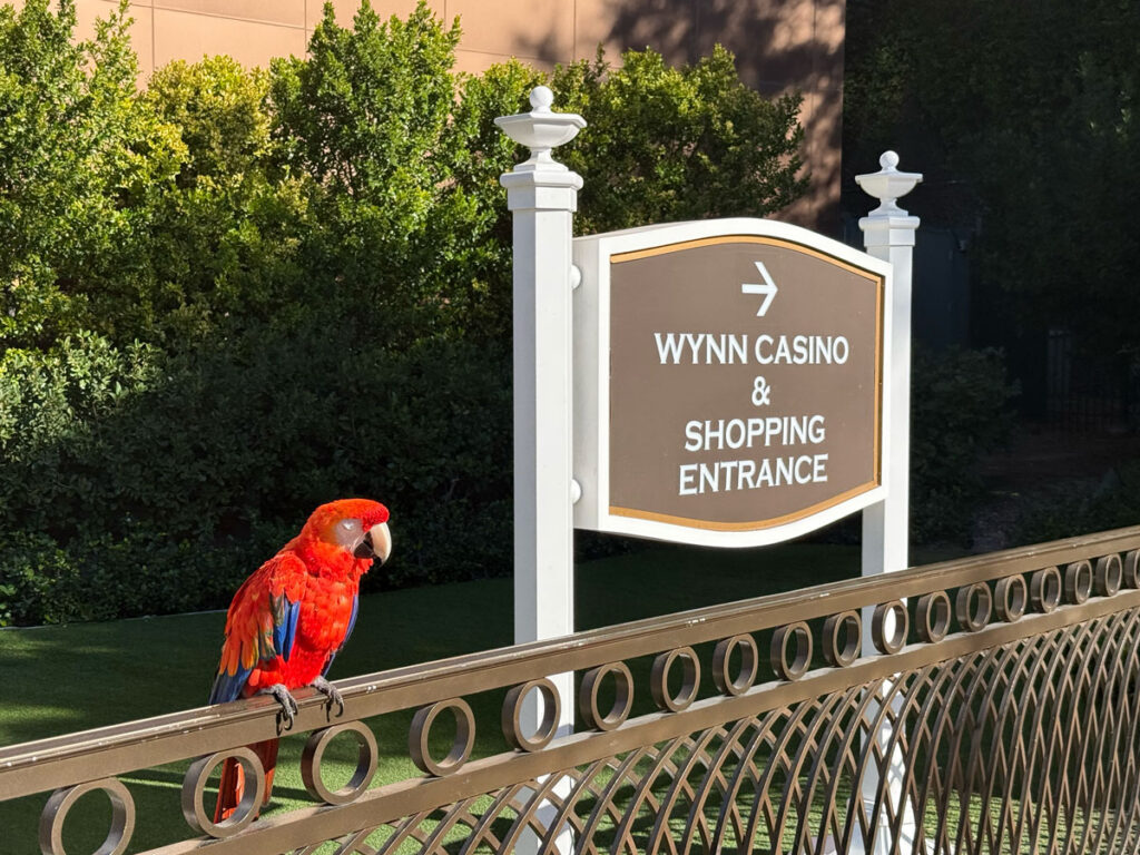 Wynn and Encore Esplanades Shopping
