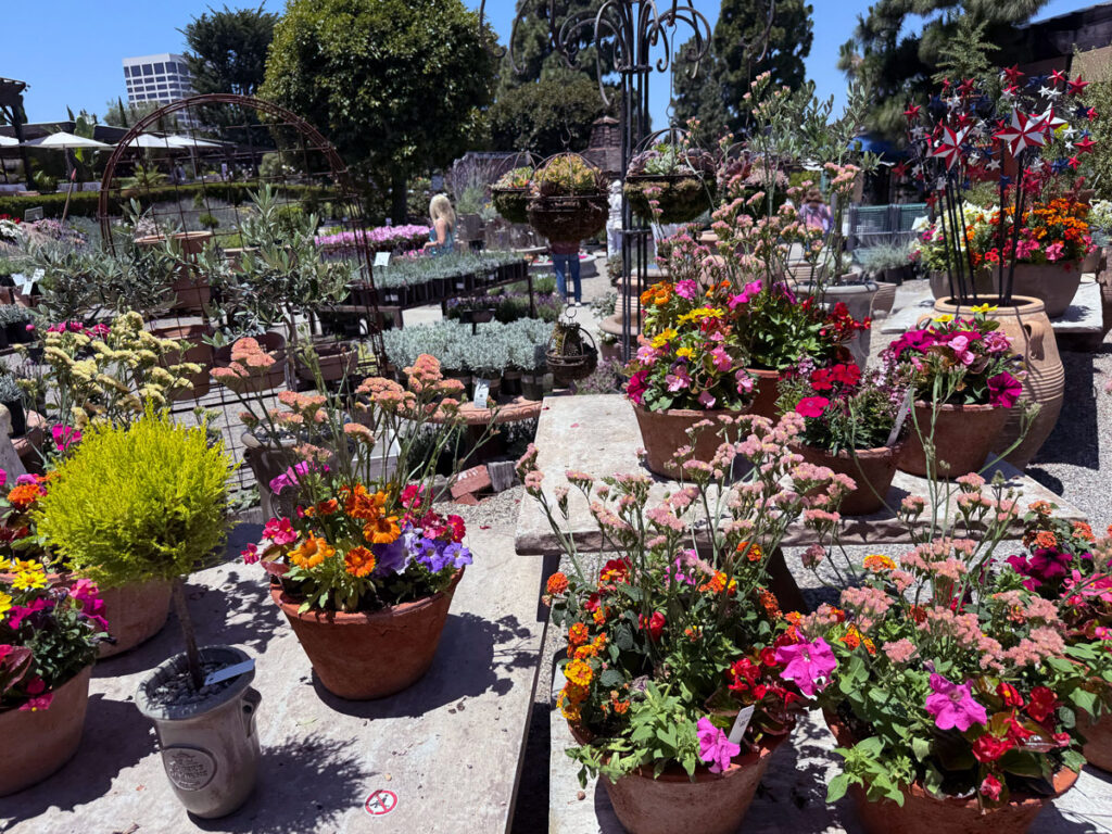 Container Gardening