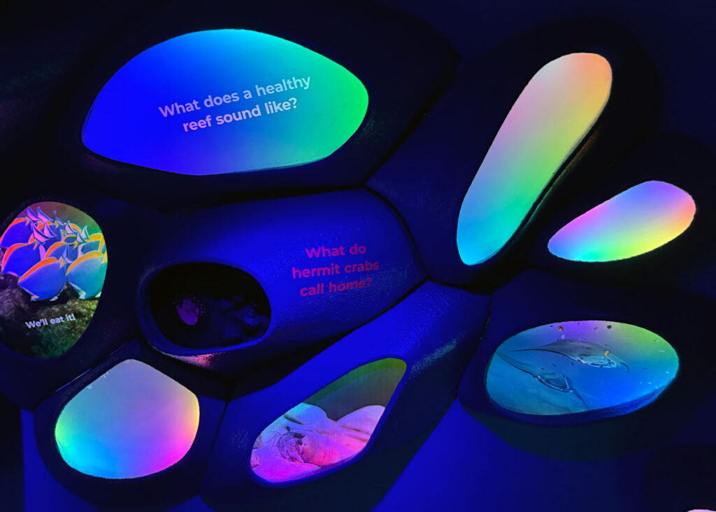 Interactive Reef Learning Station