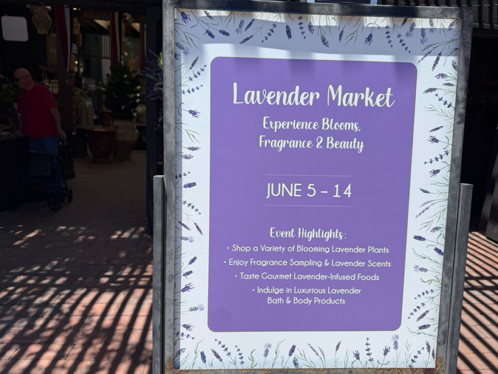 Lavender Market Events