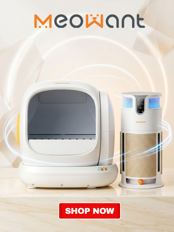 Meowant Deal