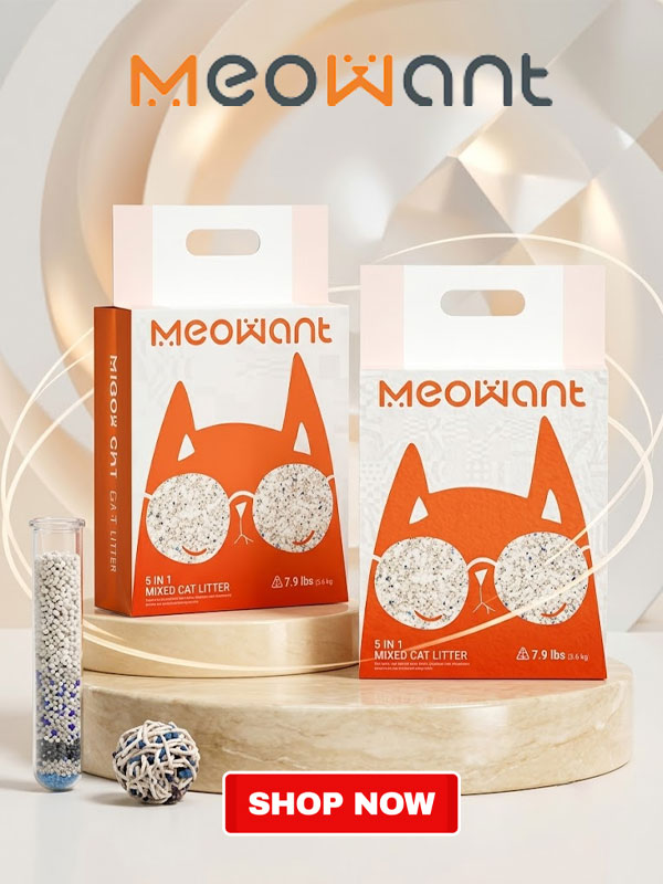 Meowant Offer