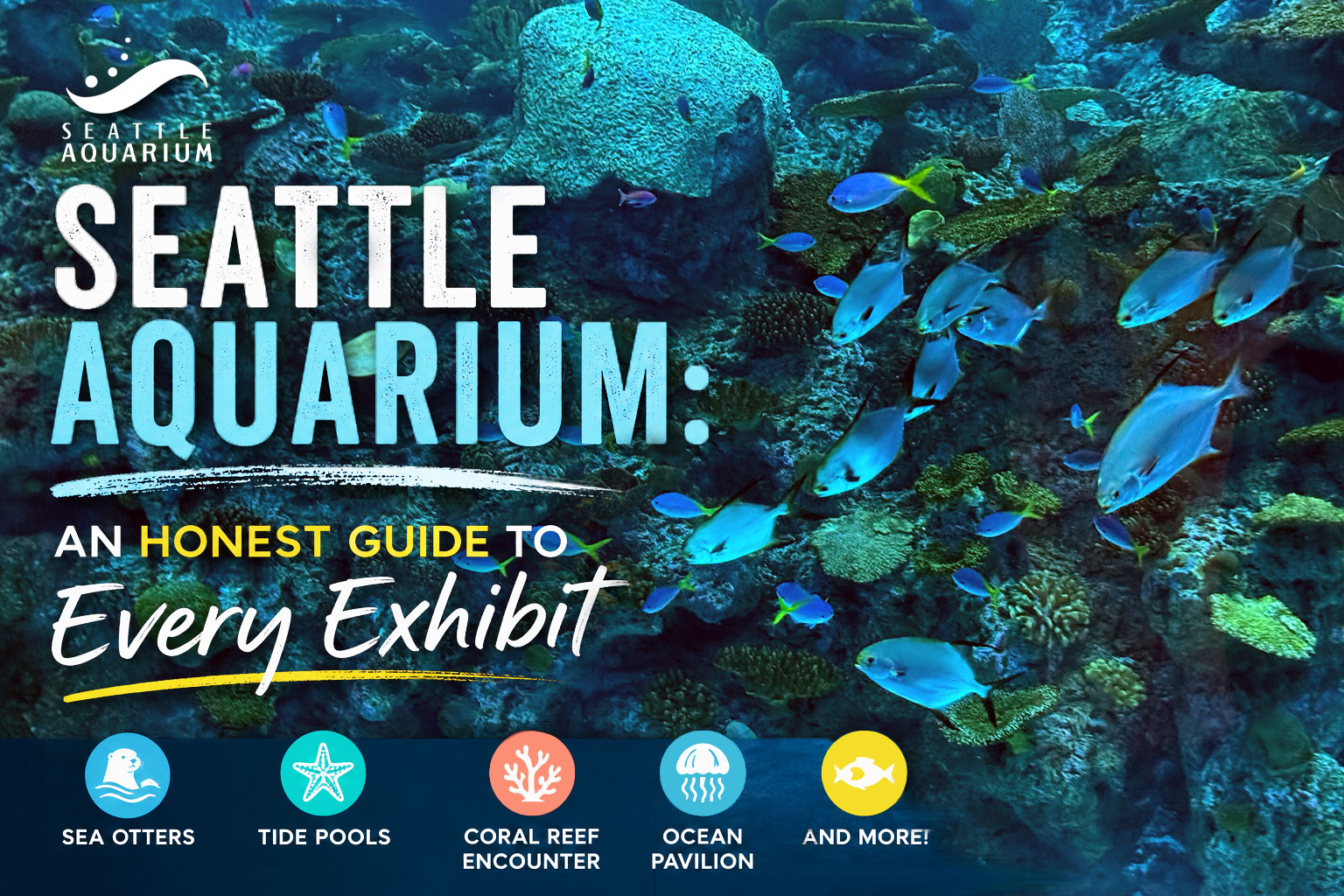 Seattle Aquarium: an Honest Guide to Every Exhibit