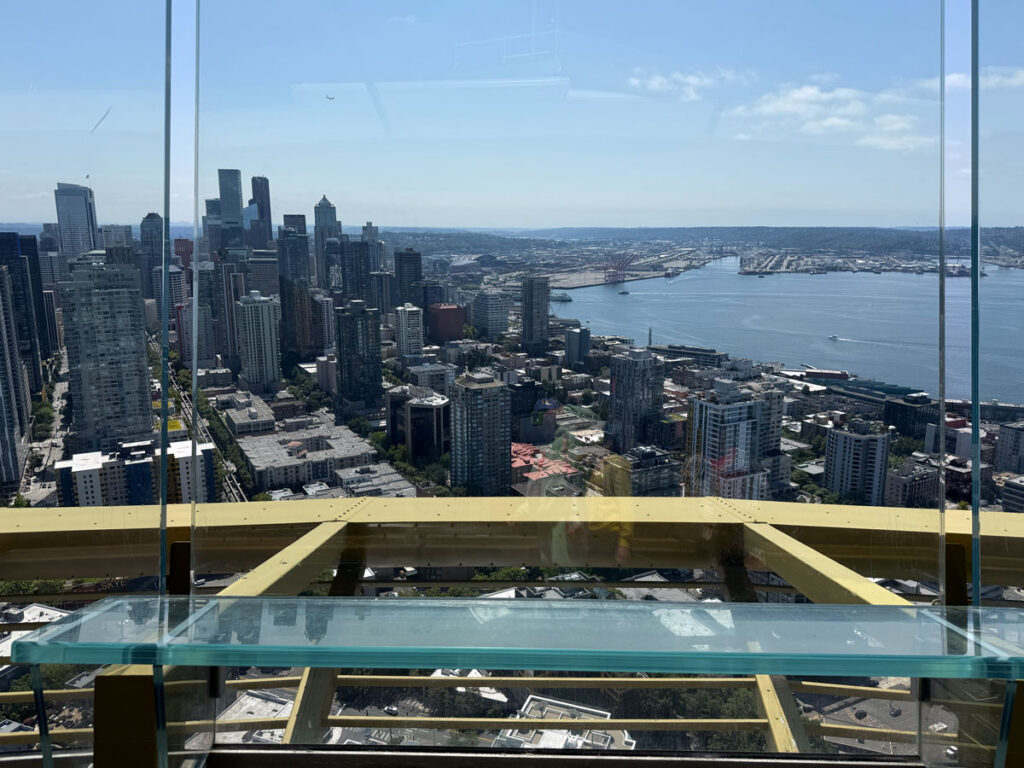 Space Needle View