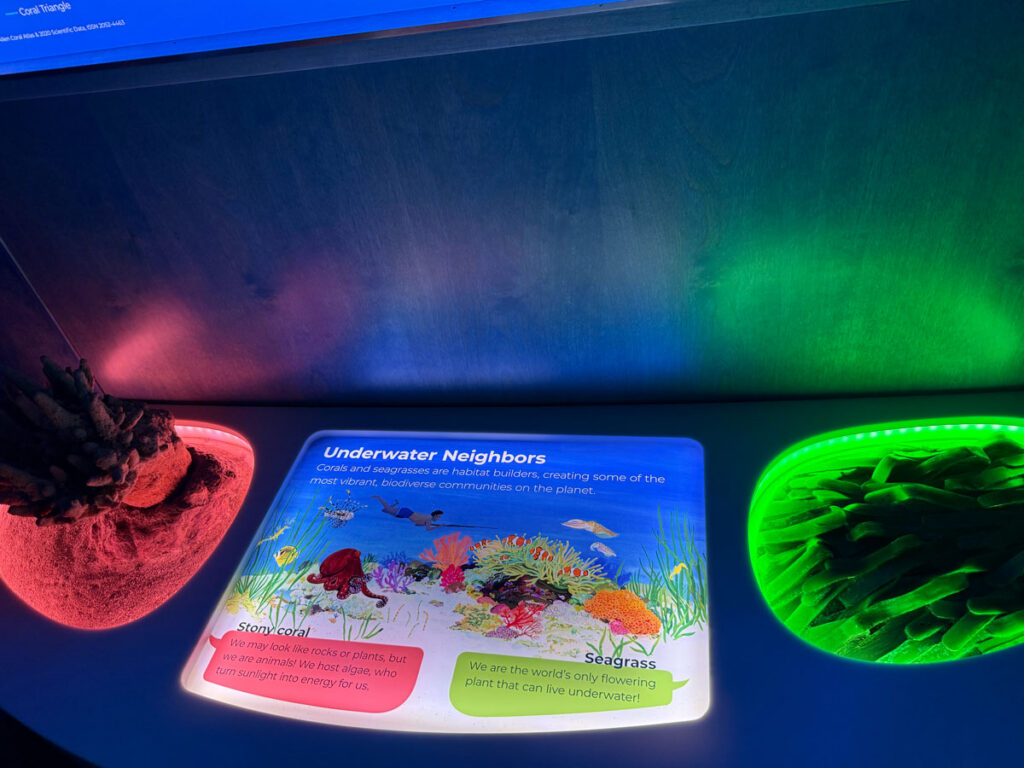 The "Underwater Neighbors" interactive display 