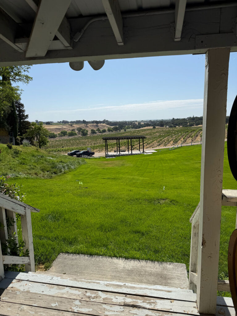 THE VINEYARD FROM THE ESTATE PORCH