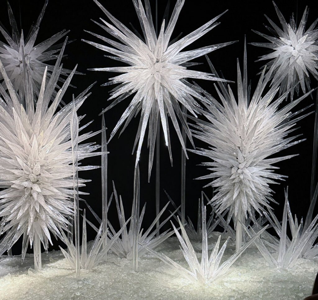 Winter Brilliance