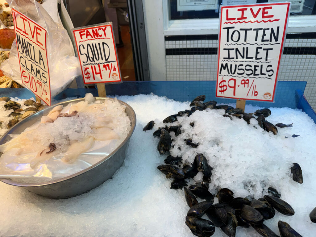 bowl of cleaned "Fancy Squid" alongside a large pile of "Live Totten Inlet Mussels"