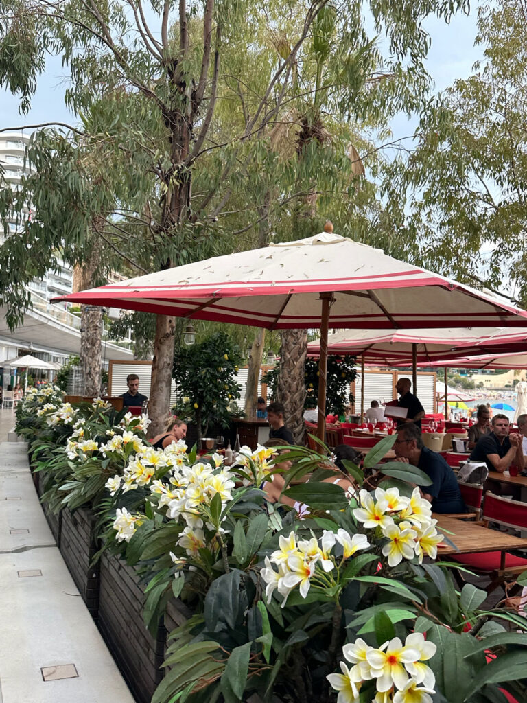 A beachside restaurant terrace