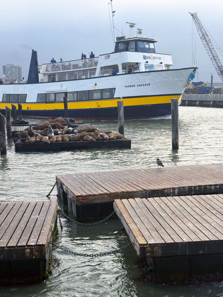 The Blue & Gold Fleet's Harbor Emperor
