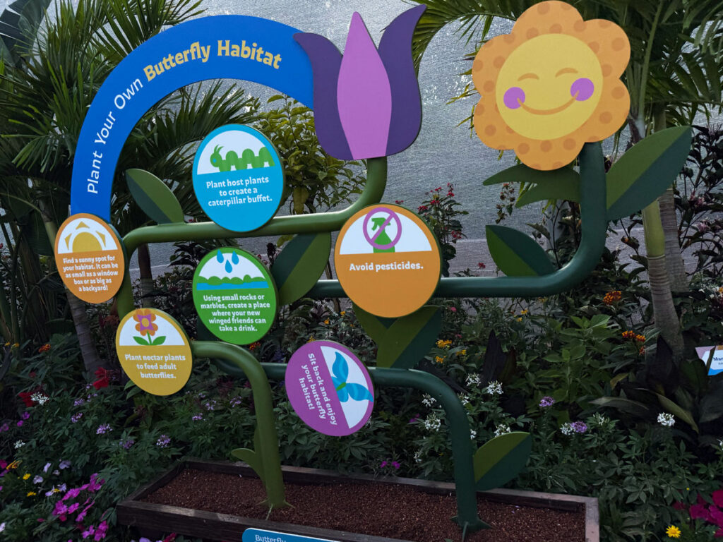 An educational display inside Butterfly Landing