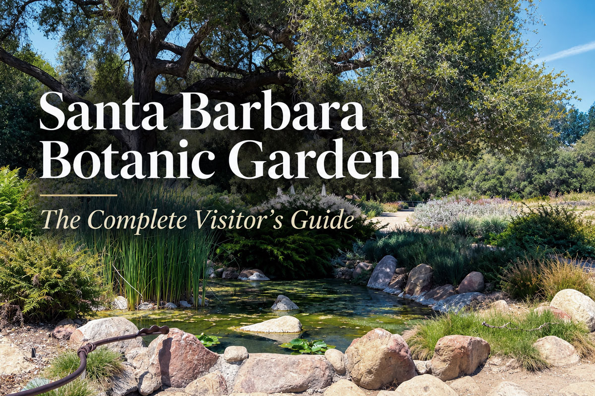 Santa Barbara Botanic Garden: The Complete Visitor’s Guide