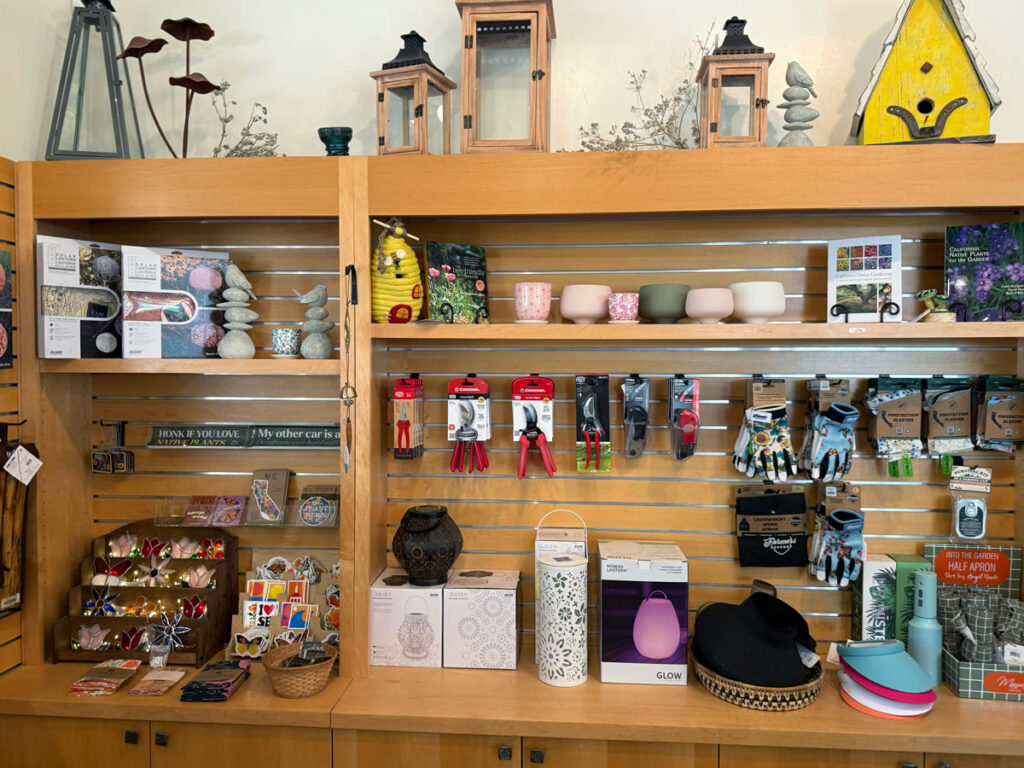 Wall of Practical Gardening Tools