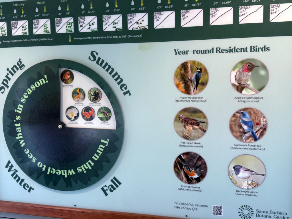An interactive seasons wheel and "Year-Round Resident Birds" panel