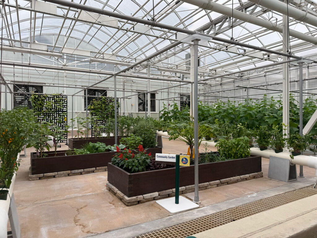 Raised beds in the Community Garden section