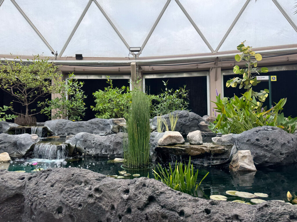 A rock-edged pond with lily pads and a small waterfall