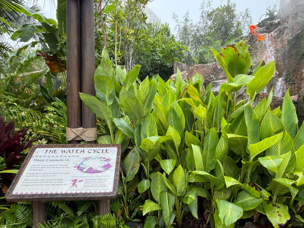 A Water Cycle sign titled Water Connects Us